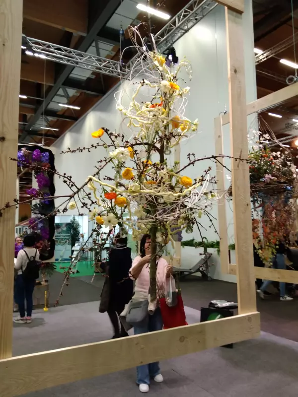 Мое австрийское житие