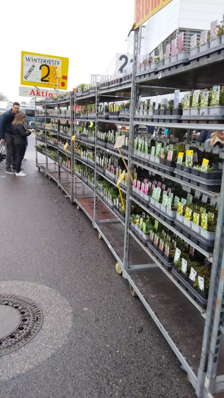 Мое австрийское житие