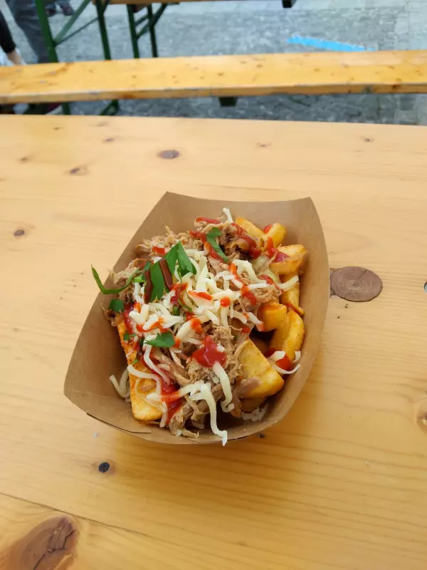 Мое австрийское житие