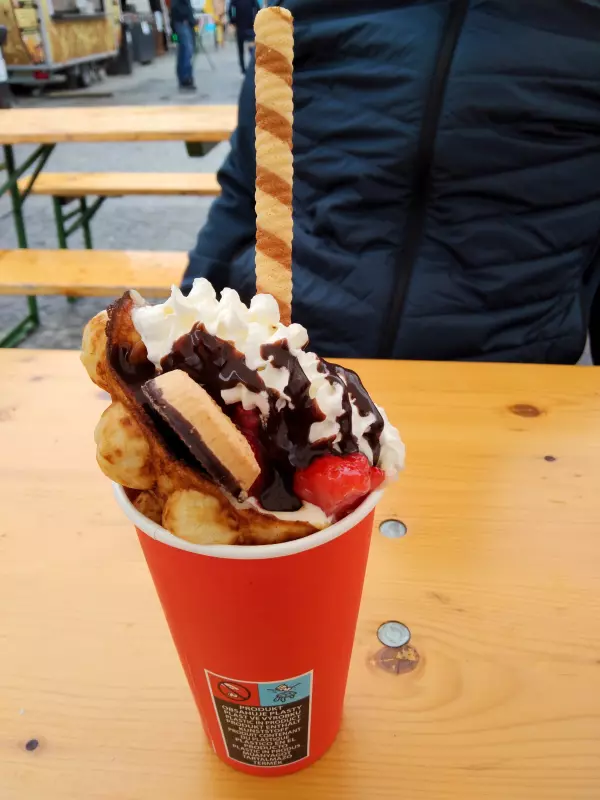 Мое австрийское житие