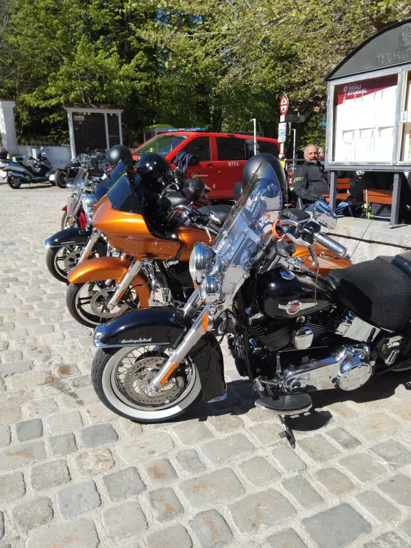 Мое австрийское житие