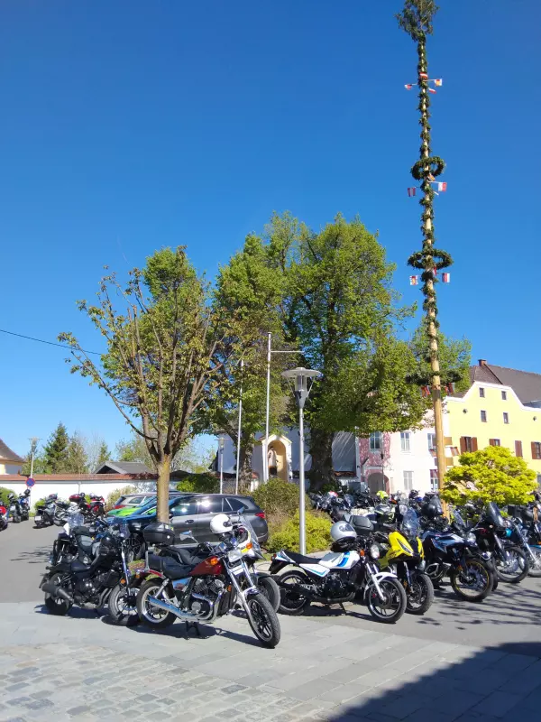 Мое австрийское житие