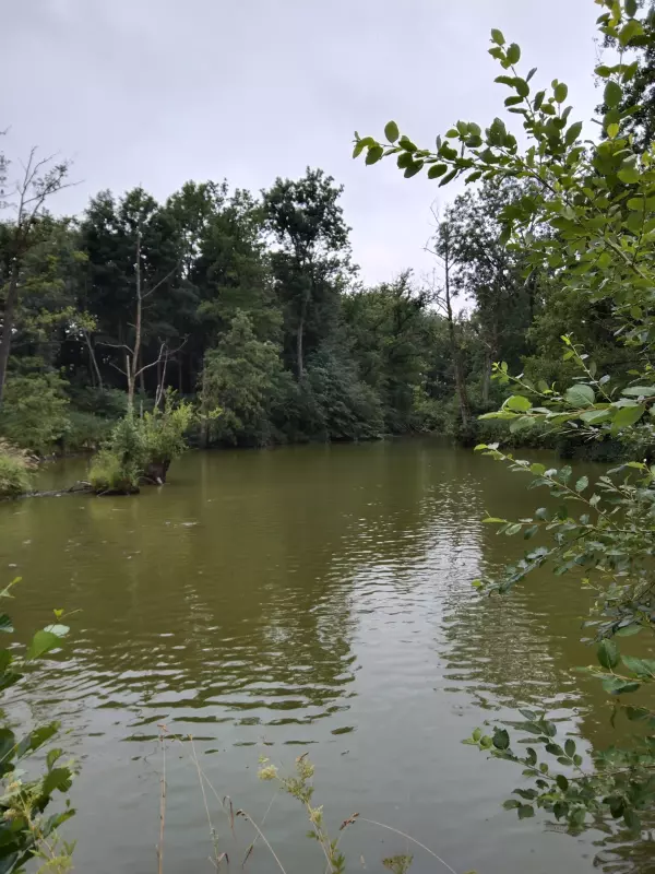 Чайная беседка