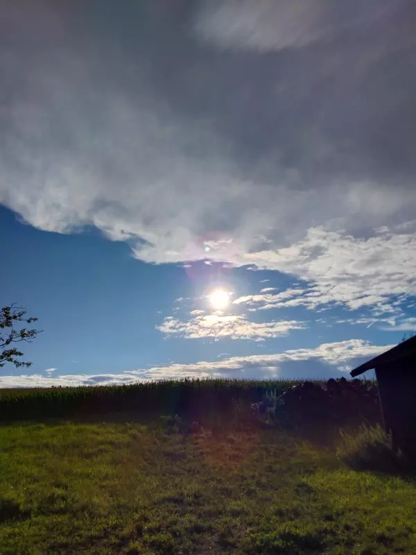 Чайная беседка