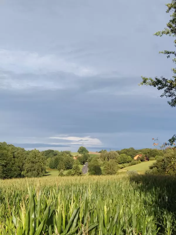 Чайная беседка