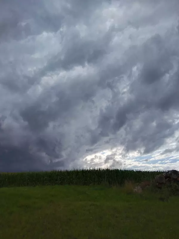 Чайная беседка