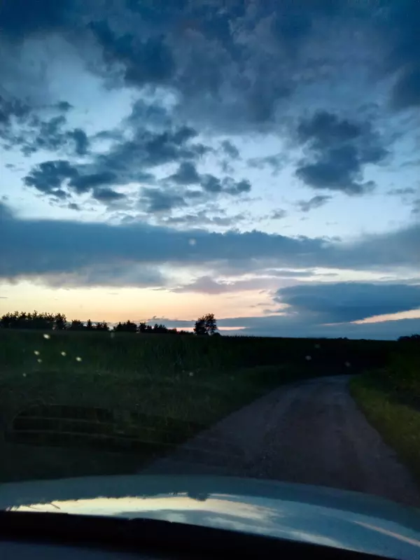 Чайная беседка