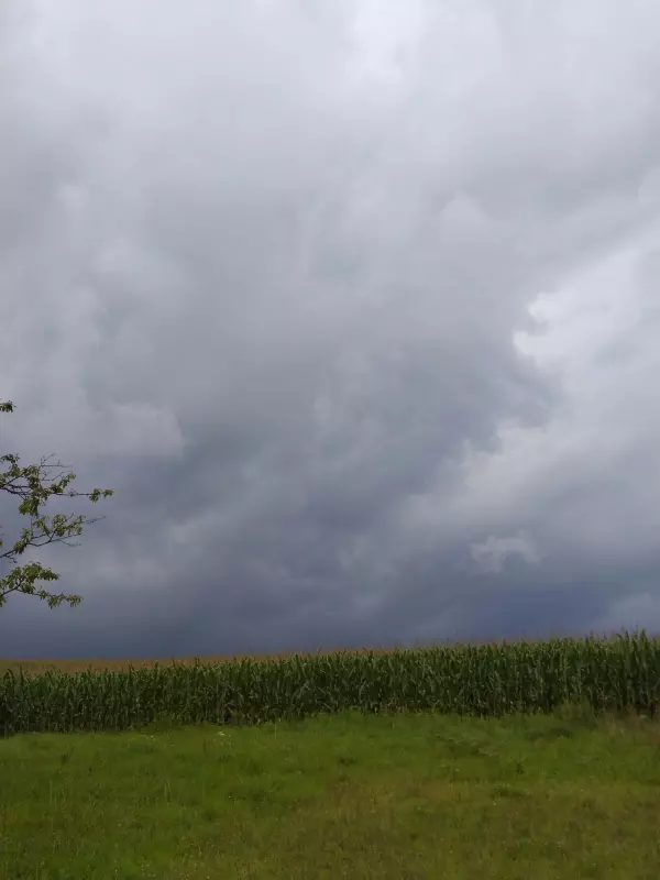 Чайная беседка