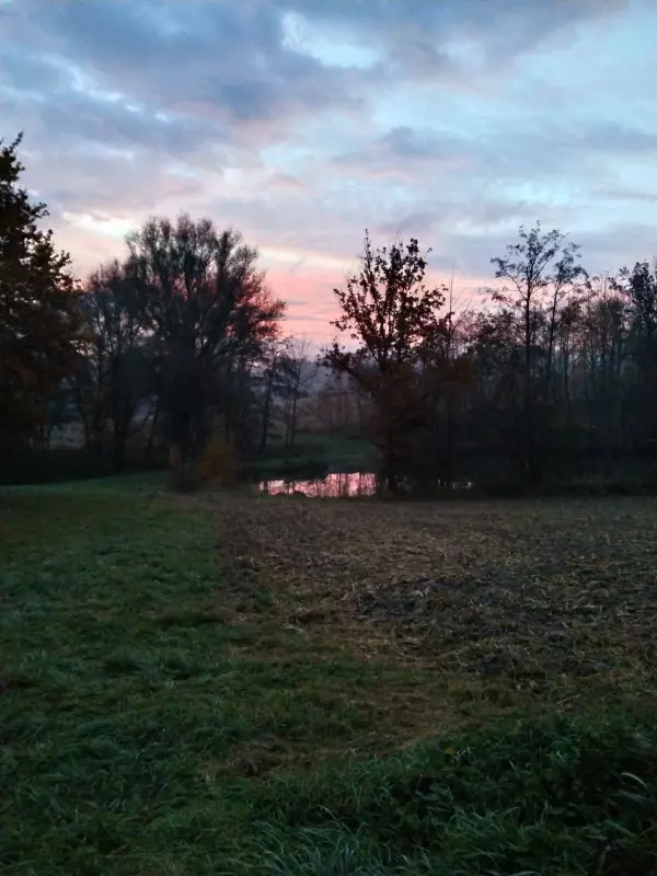 Чайная беседка