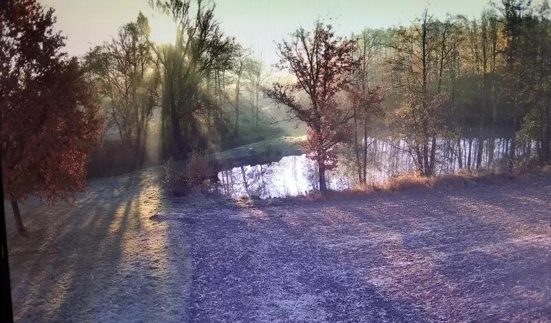 Чайная беседка