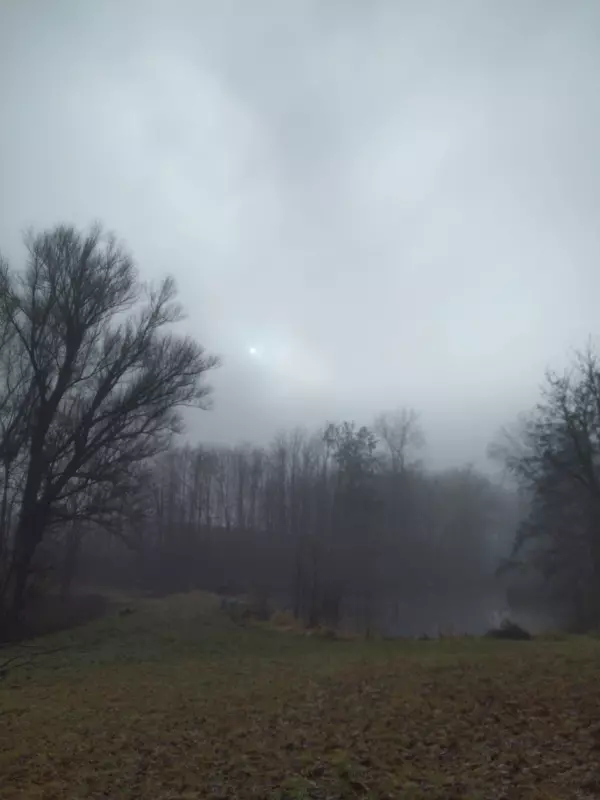 Чайная беседка