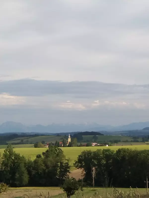 Чайная беседка