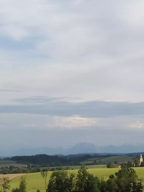 Чайная беседка