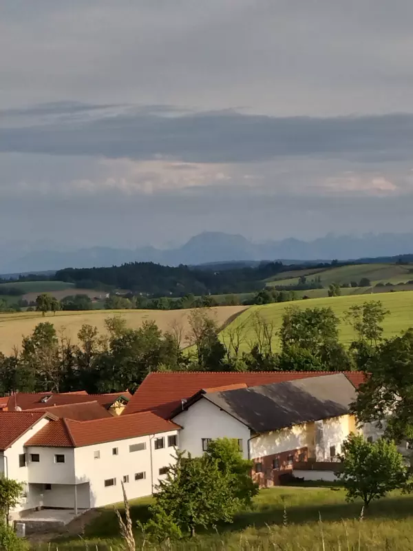 Чайная беседка