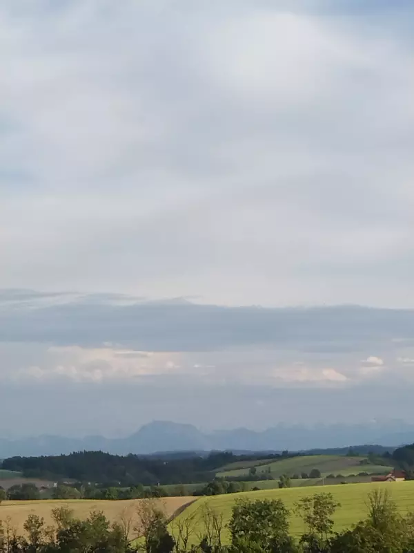 Чайная беседка