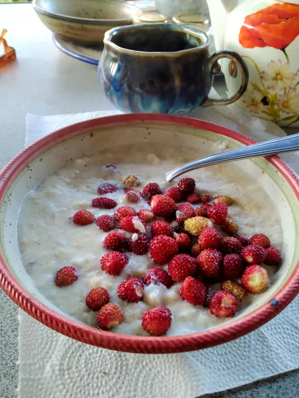 Чайная беседка