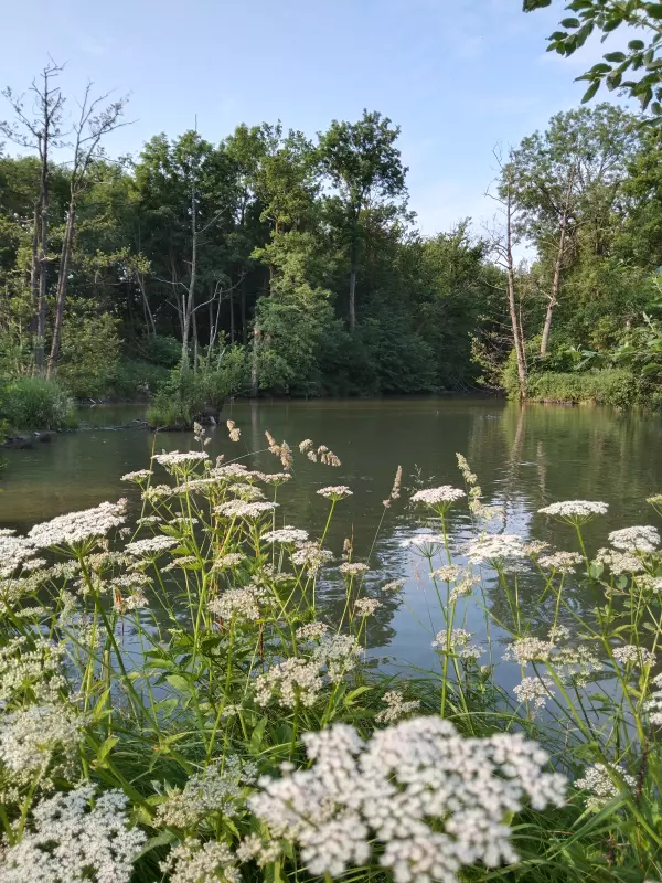 Чайная беседка