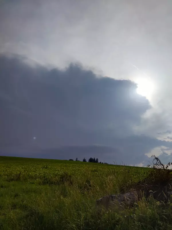 Чайная беседка