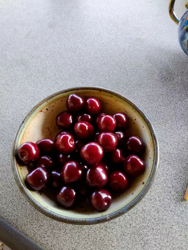 Чайная беседка