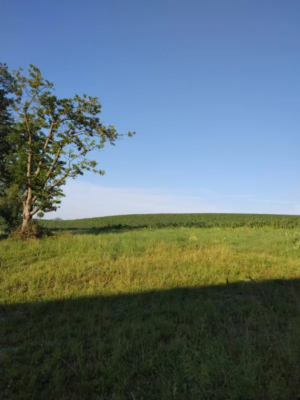 Чайная беседка