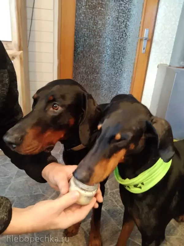 Фисташковый чизкейк с малиной методом сувид