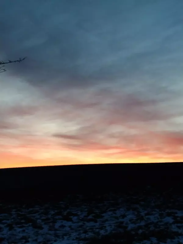 Чайная беседка