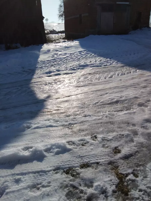 Чайная беседка