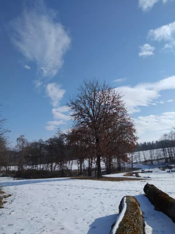 Tapтaлeтки & Ко