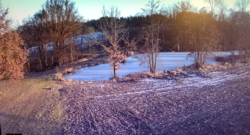 Чайная беседка