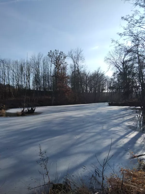 Чайная беседка