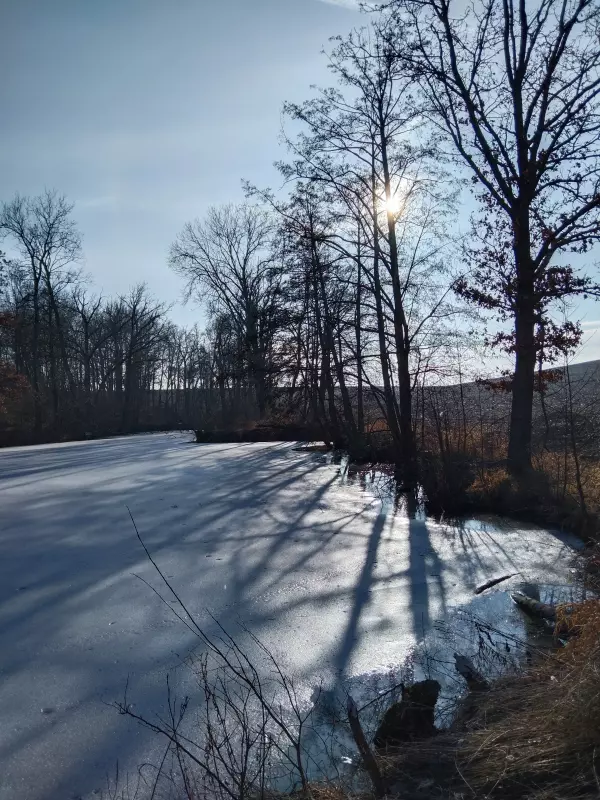 Чайная беседка