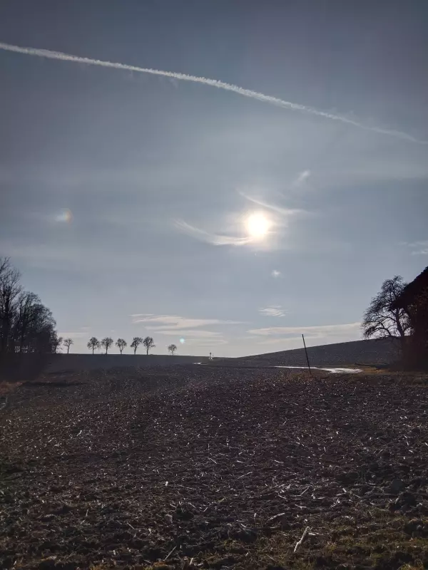 Чайная беседка