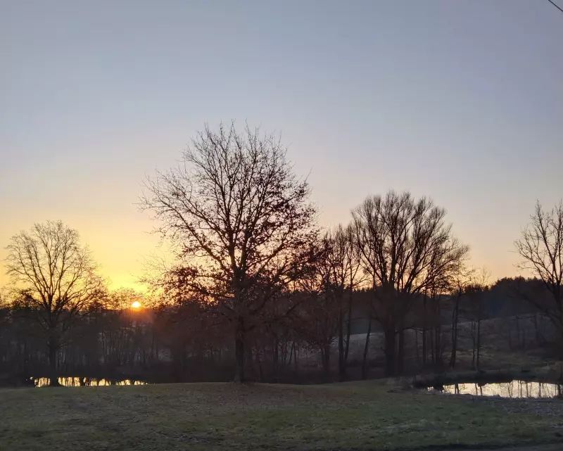 Чайная беседка