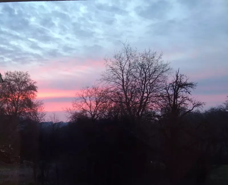 Чайная беседка