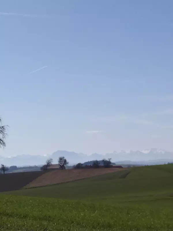 Чайная беседка