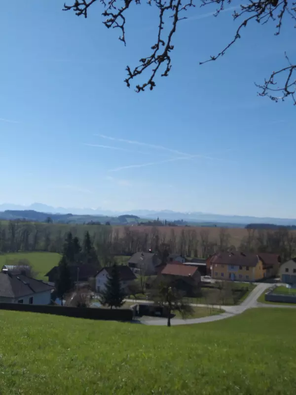 Чайная беседка