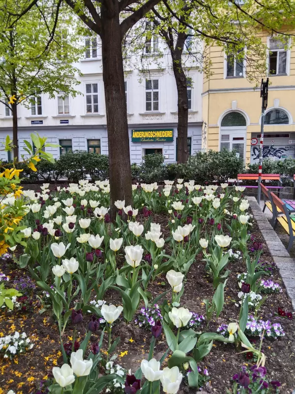 Чайная беседка