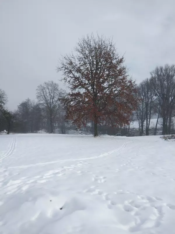 Чайная беседка