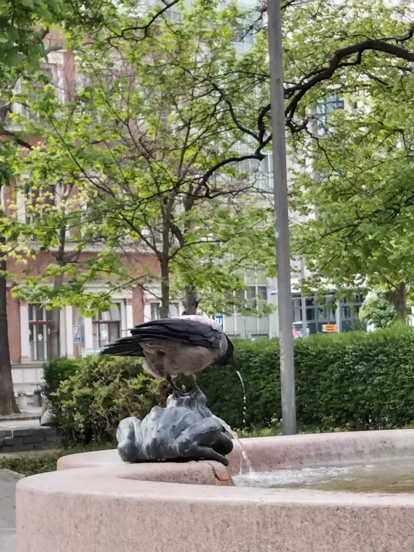 Чайная беседка