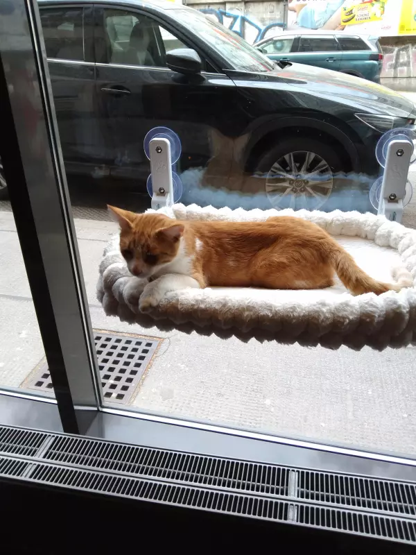 Чайная беседка