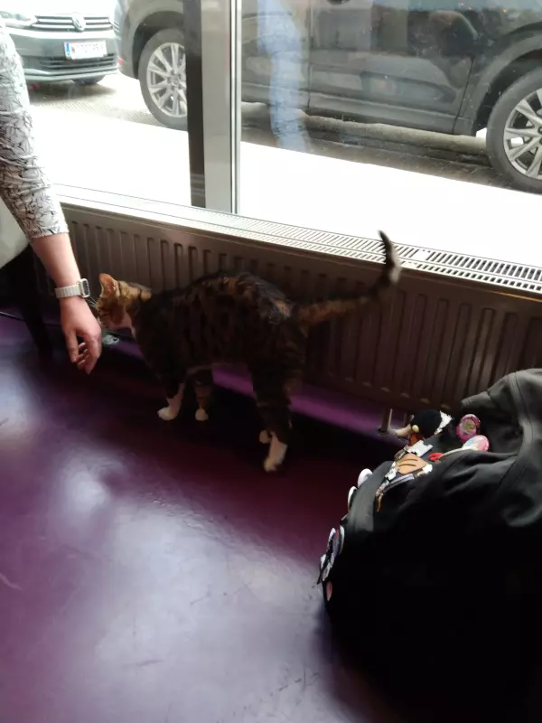 Чайная беседка