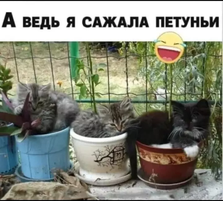 Посмеялся сам - поделись с другом!!!