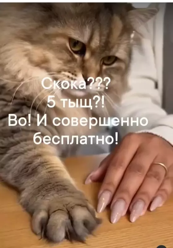 Посмеялся сам - поделись с другом!!!