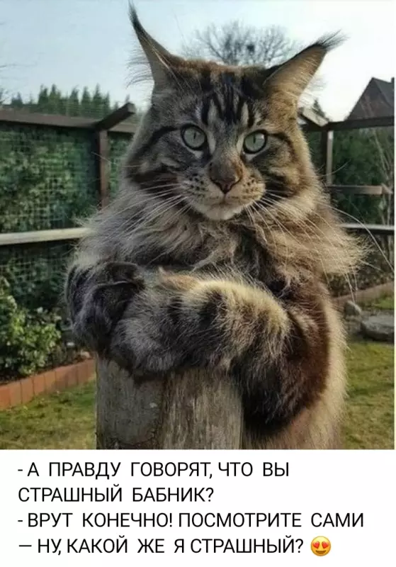 Посмеялся сам - поделись с другом!!!