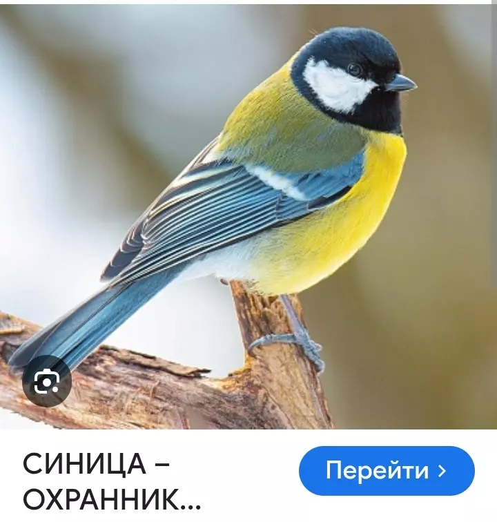 Посмеялся сам - поделись с другом!!!