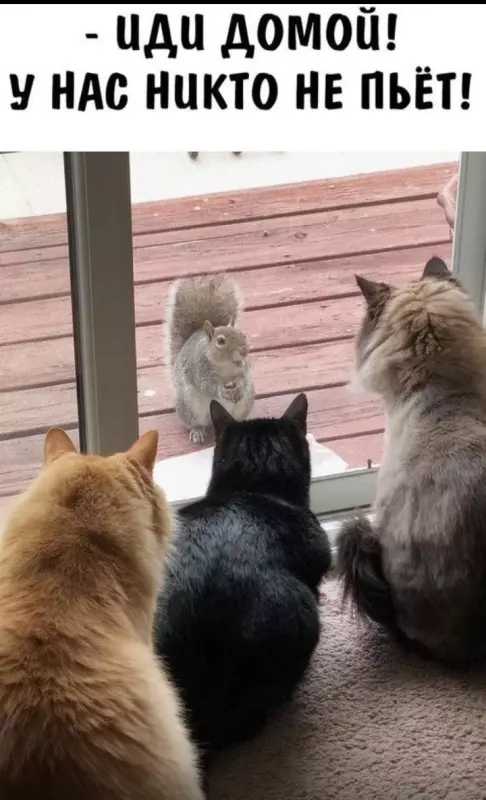 Посмеялся сам - поделись с другом!!!