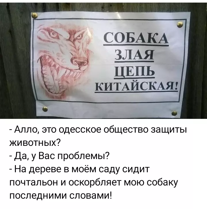 Посмеялся сам - поделись с другом!!!