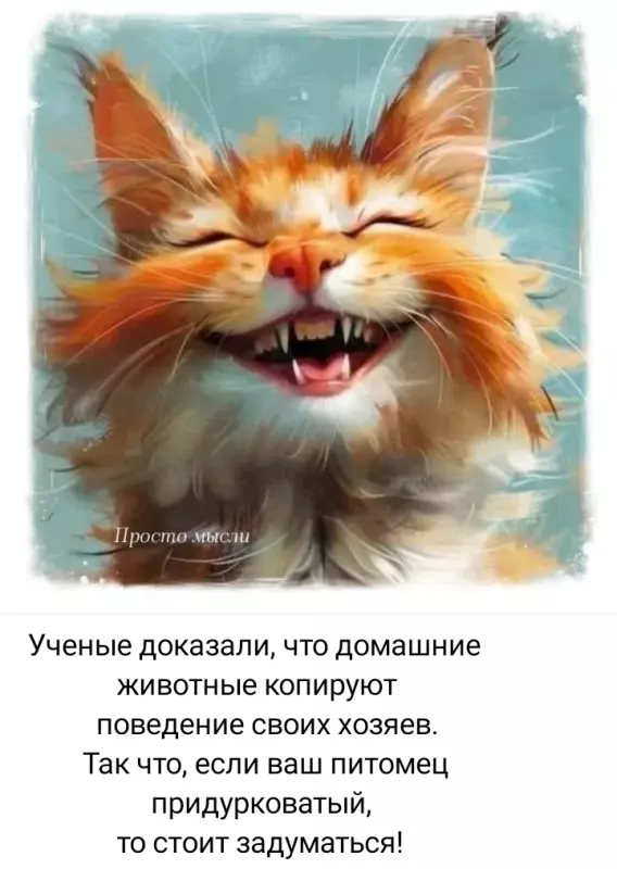 Посмеялся сам - поделись с другом!!!