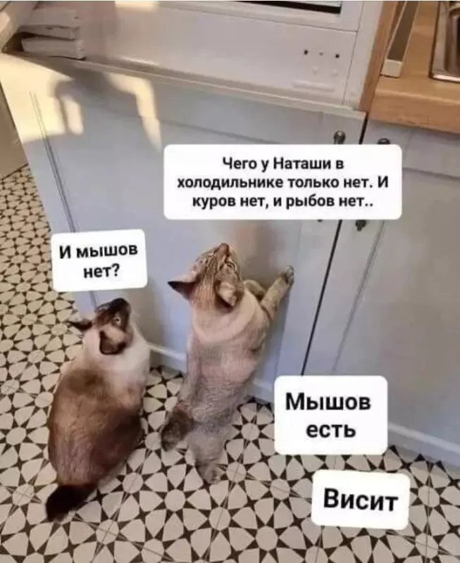 Посмеялся сам - поделись с другом!!!