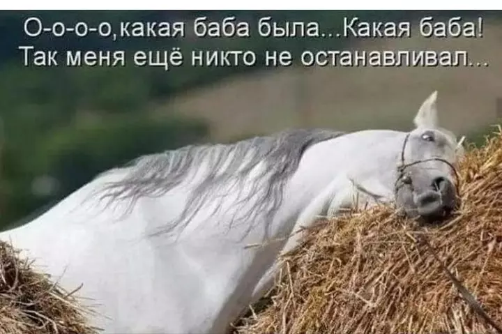 Посмеялся сам - поделись с другом!!!